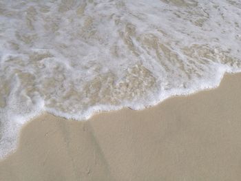 Close-up of wave on beach