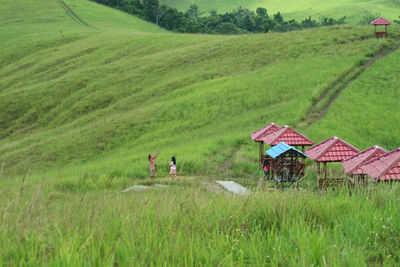 Scenic view of agricultural field