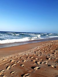 Scenic view of beach against clear blue sky