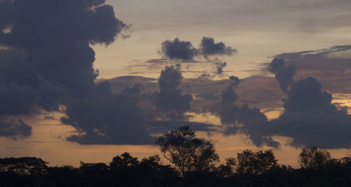 Low angle view of silhouette trees against sky
