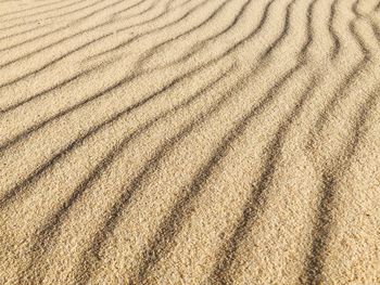 Full frame shot of sand dune