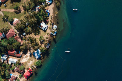 High angle view of trees by sea