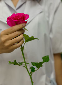 Close-up of hand holding rose bouquet