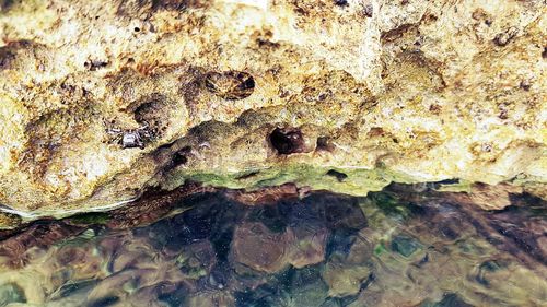 Full frame shot of rock