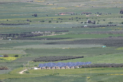 High angle view of agricultural field