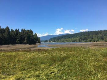 Scenic view of landscape against clear blue sky