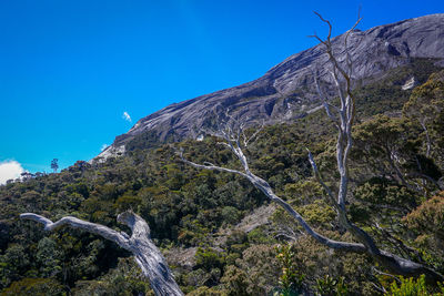 Scenic view of mountains against clear blue sky