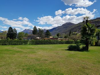 Scenic view of field against sky