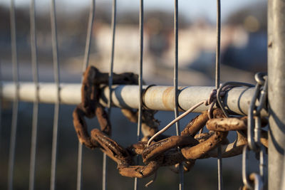 Close-up of padlock on chainlink fence