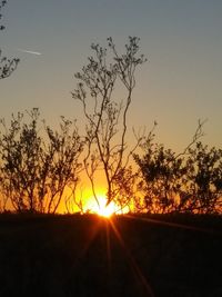 Silhouette trees against sky during sunset