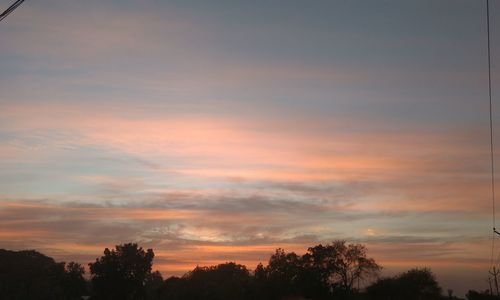 Low angle view of silhouette trees against sky at sunset