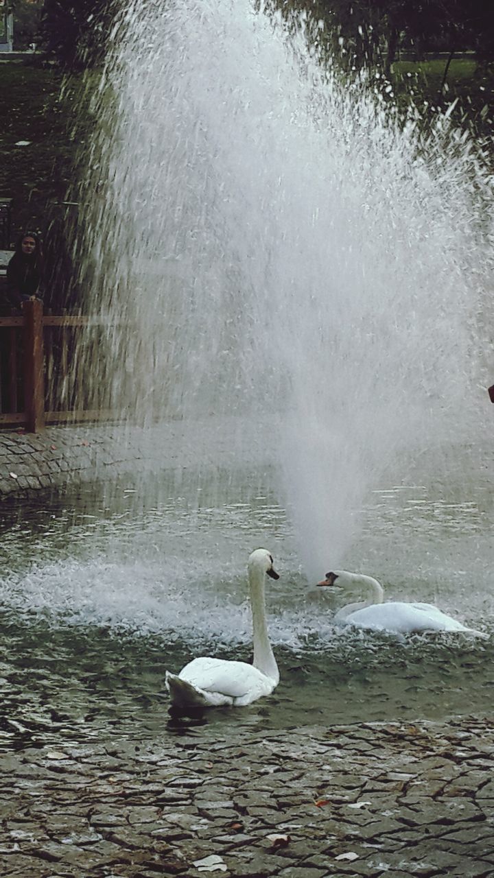 water, fountain, splashing, weather, motion, spraying, season, winter, white color, nature, lake, reflection, frozen, outdoors, cold temperature, day, no people, wet, beauty in nature, flowing water