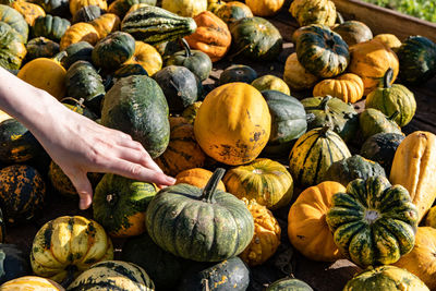 Full frame shot of pumpkins in market