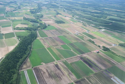 Aerial view of agricultural field