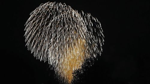 Low angle view of firework display over black background