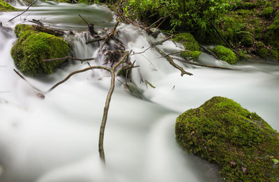 Stream flowing through rocks