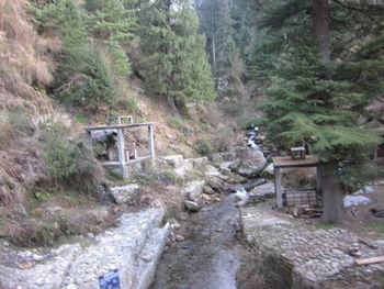 Built structure against trees