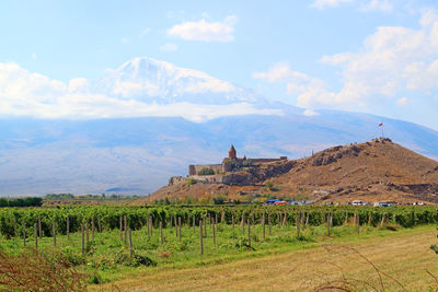 Scenic view of vineyard against sky