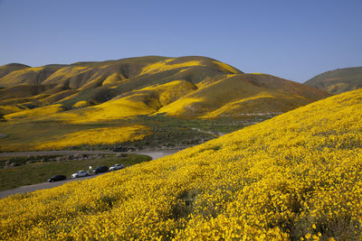 Scenic view of landscape against clear sky