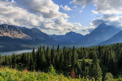 Idyllic summer landscape