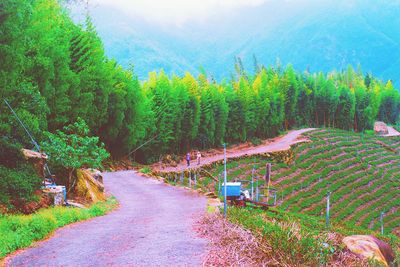 Road passing through landscape