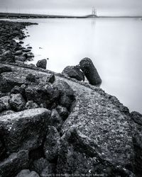 Close-up of lizard on rock against sky