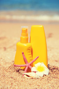 Close-up of yellow flower on beach