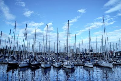 Sailboats moored at harbor against blue sky