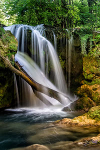 Scenic view of waterfall in forest