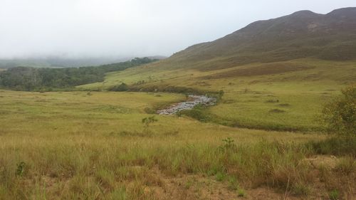 Stream flowing through landscape