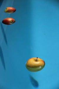 Close-up of jellyfish in water