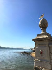 Seagull perching on statue by sea against clear blue sky