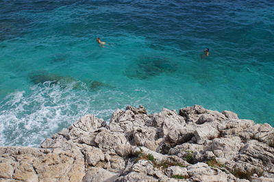 High angle view of women swimming in sea