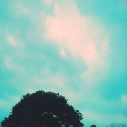 Low angle view of trees against blue sky