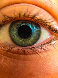 Close-up portrait of woman eye