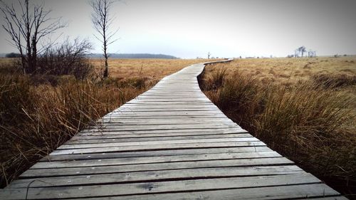Surface level of grassy field against clear sky