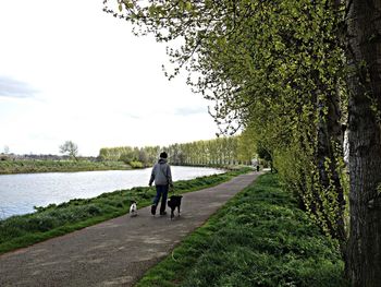 Man standing on grass