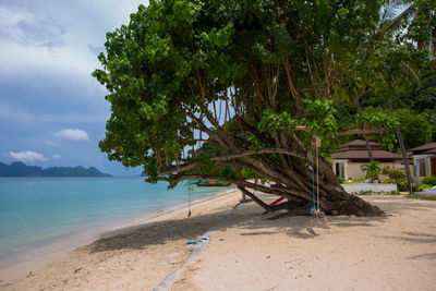 Scenic view of beach against sky