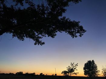 Low angle view of silhouette trees against clear sky