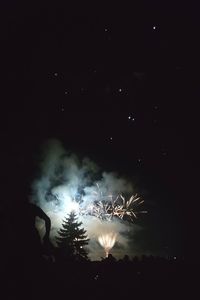 Firework display in sky at night