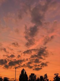 Low angle view of silhouette trees against dramatic sky