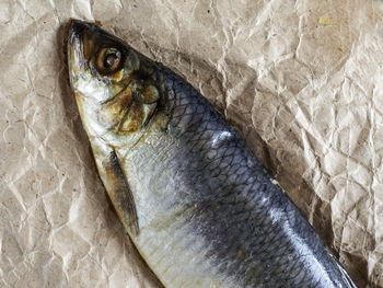 Close-up of fish on paper bag