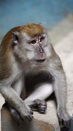 Close up of young woman looking away