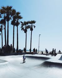 People and palm trees against clear blue sky