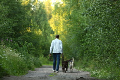 Rear view of man with dog walking in park