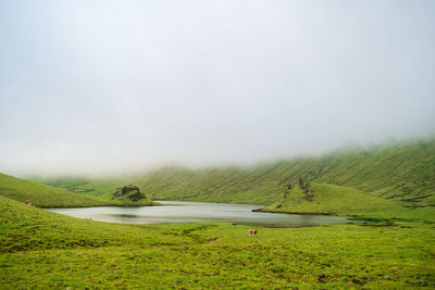 Scenic view of landscape against sky in foggy weather