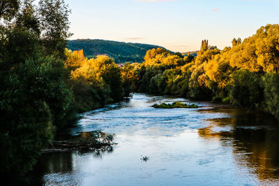 Scenic view of river in forest against sky