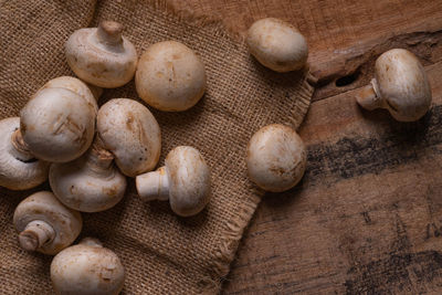 High angle view of mushrooms