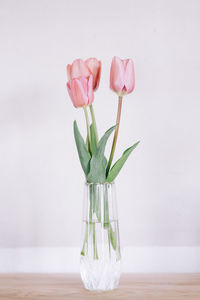 Close-up of flowers in vase on table