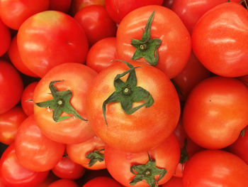 Full frame shot of tomatoes for sale at market